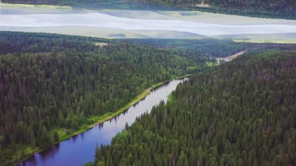 Letecký pohled na široká řeka teče v lese, zrcadlo Horizont efektu. Krásné scenérie zeleného lesa a řeky na zamračená obloha pozadí vzniku téma. — Stock video
