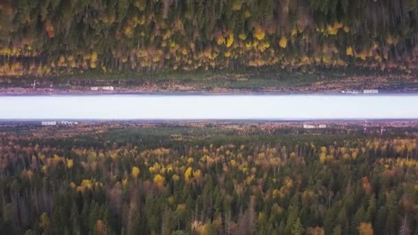 Volando por encima de las copas de los árboles del bosque de pinos, espejo concepto horizonte. Aérea para hermoso bosque y cielo nublado, tema de inicio . — Vídeo de stock