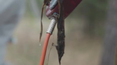 Adam arka plan üzerinde Beyaz giysili çalışan siluet ile yakından görmek elektro gitar yüzey ve ses kablosunun su damlaları ve yosun. Hisse senedi. Müzik ve doğa.