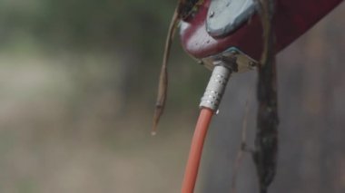 Elektro gitar yüzey ve ses kablosu su damlaları ve yosun yakından görmek. Hisse senedi. Müzik ve doğa.
