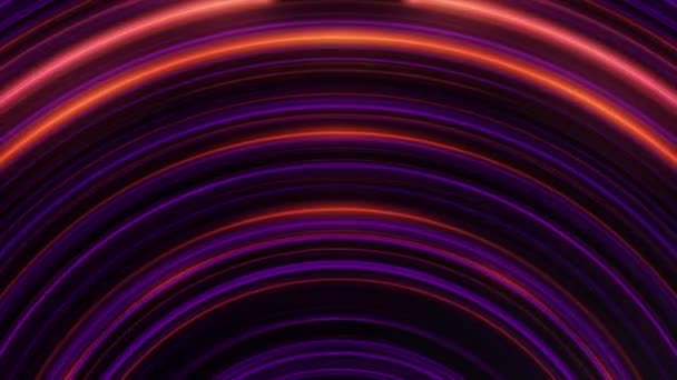 Abstrakte kreisförmige Neonlinien. Animation. Pulsierende neonhalbrunde Linien auf schwarzem Hintergrund. abstrakter Hintergrund kreisförmiger Lichtlinien in Wellenpulsationen — Stockvideo