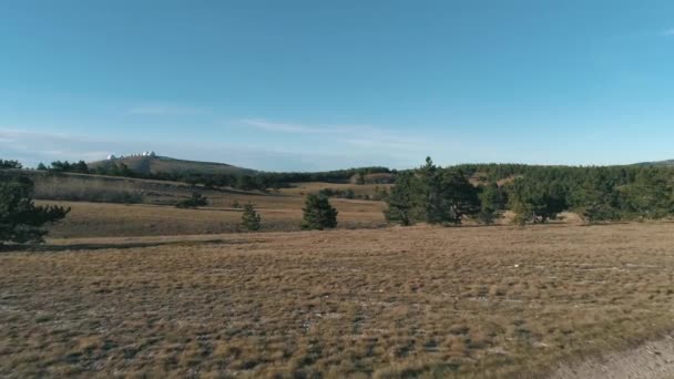 Gräsbevuxna kullar med barrträd. Skott. En solig, ren dag. — Stockvideo