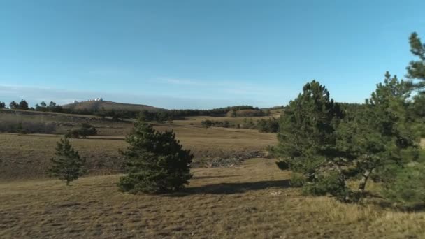 Grasbewachsene Hügel mit Nadelbäumen. Schuss. ein sonniger, reiner Tag. — Stockvideo