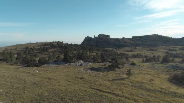 Árvores de coníferas nas montanhas sob céu azul e nublado. Atingido. Maravilhoso dia puro em um vale — Vídeo de Stock