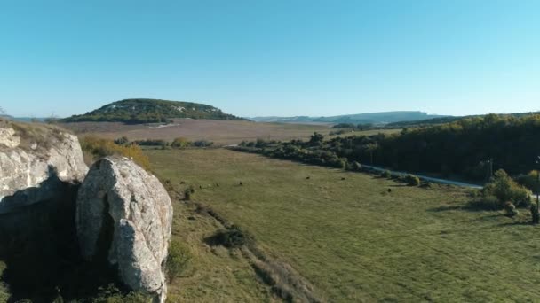 Un troupeau de vaches broutant sur la prairie près de la route sous la colline rocheuse. Fusillade. Magnifique paysage rural .