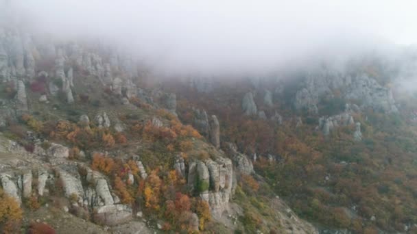 Formations montagneuses dans le brouillard nocturne. Fusillade. Belle vue sur un arbre brumeux sur une chaîne de montagnes . — Video