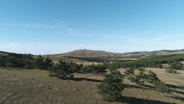 Valle con conifere e abeti contro il cielo blu. Gli hanno sparato. Vista panoramica della collina in lontananza — Video Stock