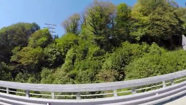 Ride through foliage forest. Scene. Beautiful sunny day in mountains. The rest of the southern country — Stock Video