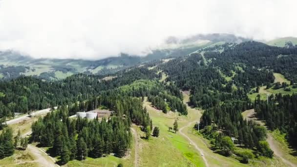 Schöne grüne Berglandschaft mit Bäumen. Blick von oben auf die bewaldete Bergregion — Stockvideo