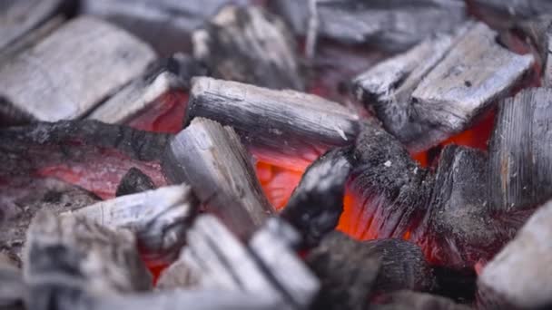 Carvão quente brilhante no churrasco Grill Pit com chamas, Close-up. Carvões em chamas de perto — Vídeo de Stock