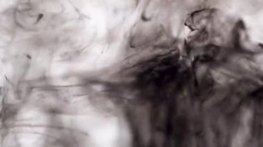 Su beyaz arka planda siyah mürekkeple close-up. Siyah mürekkep damlaları güzel soyut sanat arka plan oluşturma suda sıçrama