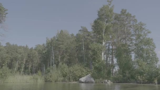 Bela água azul clara na margem do lago. Paisagem florestal na costa espelhada na água — Vídeo de Stock