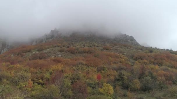 秋天山中的雾中的岩石悬崖。拍摄。美丽的风景. — 图库视频影像