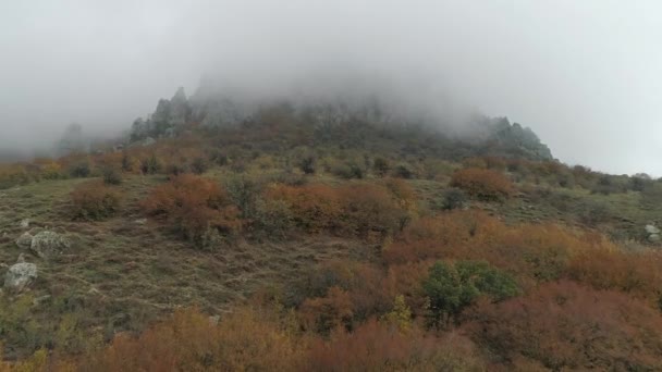 Красиві гірські хребти і дерева в густому тумані. Постріл. Осінній пейзаж . — стокове відео