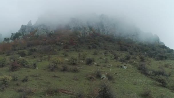 Prachtige bergruggen en bomen in de dikke mist. Schot. Herfst landschap. — Stockvideo