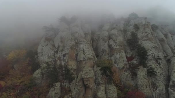 Крупный план огромных скал в тумане. Выстрел. Осенний пейзаж — стоковое видео