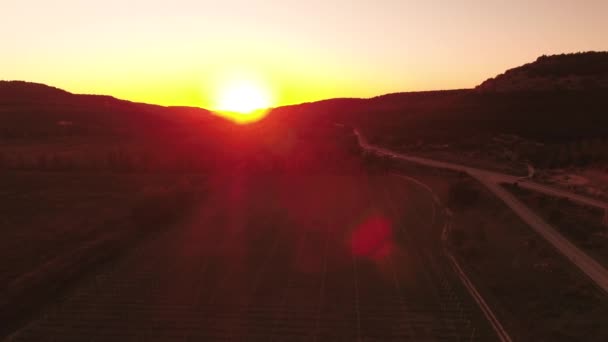 Röd soluppgång över fältet och road med rörliga bilar. Skott. Flygfoto — Stockvideo