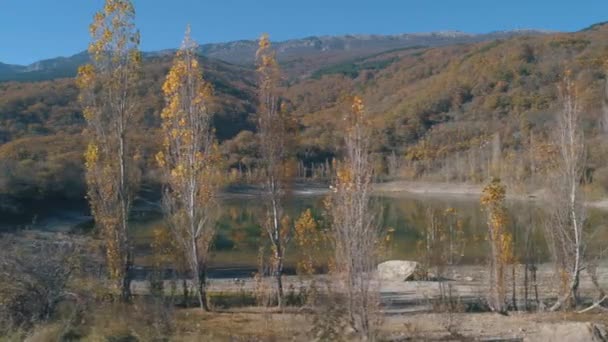 Όμορφη θέα στη λίμνη κοντά στα βουνά και τα δέντρα. Βολή. Καταπληκτικό φθινοπωρινό τοπίο — Αρχείο Βίντεο
