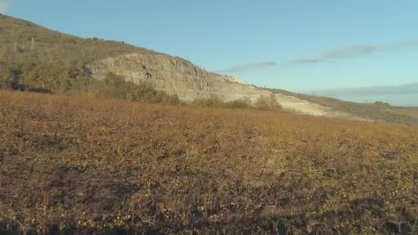 Podzimní pole poblíž lomu křídou proti modré obloze. Střela. Jasné a teplý večer — Stock video