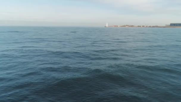 Imagens aéreas vista voando de fiação selvagem e pulando golfinhos nadando no oceano. Atingido. Golfinhos nadando em águas tropicais azuis. Saltar, respirar, cuspir — Vídeo de Stock