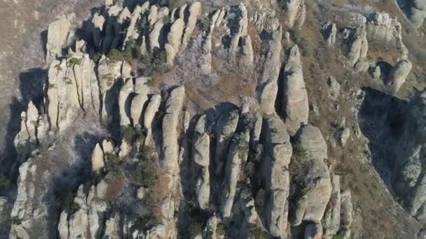 Vista aérea de uma bela pedra com textura abundante rodeada por pequenas árvores de coníferas cobertas por geada no topo de uma montanha rochosa. Atingido. Close-up . — Vídeo de Stock