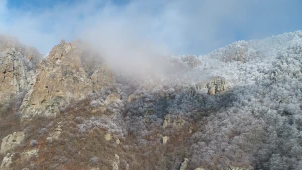 Μαγευτική θέα από την κορυφή του βουνού με χιονισμένες κορυφές στα σύννεφα που καλύπτονται από μικρά δέντρα και θάμνους. Βολή. Καταπληκτικά βουνά. — Αρχείο Βίντεο