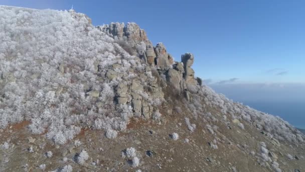 Bella vista sulla cima della montagna coperta da enormi massi e conifere innevate contro il cielo blu. Gli hanno sparato. Montagna paesaggio invernale . — Video Stock