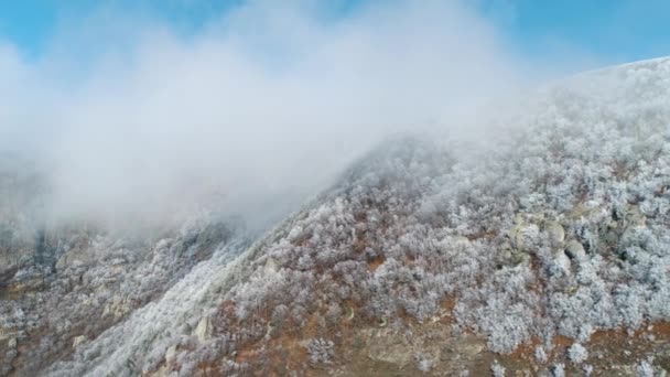 Herrliche Aussicht auf Berghänge und riesige Klippen mit dichtem, schneebedecktem Wald in Wolken vor blauem Himmel an sonnigen Tagen. Schuss. spektakulärer Bergrücken. — Stockvideo