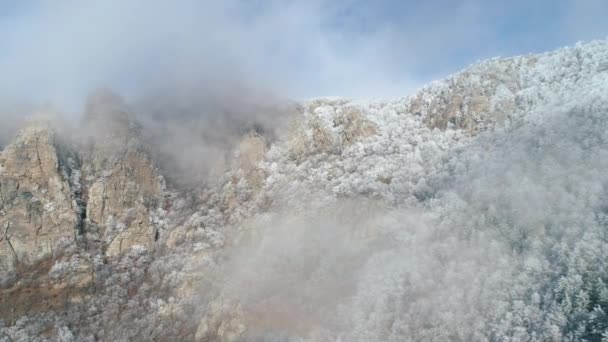 Paysage hivernal avec falaises enneigées couvertes de conifères gelés et d'arbustes dans des nuages gris contre ciel bleu. Fusillade. Belle vue . — Video