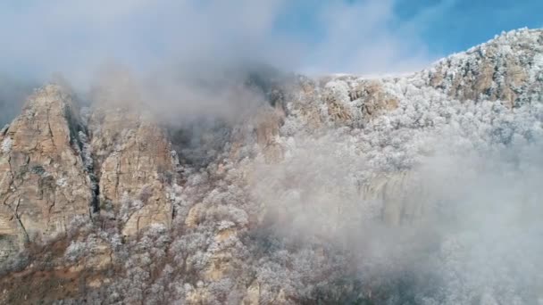 Zimní krajina s zasněžené horské útesy vztahuje na zmrazené jehličnatých stromů a keřů v šedé mraky proti modré obloze. Střela. Krásný pohled. — Stock video