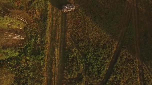 Повітряний вид на окремий автомобіль, що проїжджає через зелене поле. Кадри. Автомобіль бездоріжжя — стокове відео