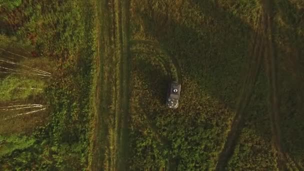 一人で車の運転の緑のフィールドでの空撮。映像。車行くオフロード — ストック動画