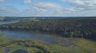 Çim ve saz mavi bulutlu gökyüzü karşı kapsadığı Nehri'nin havadan görünümü. Küçük. Güzel manzara