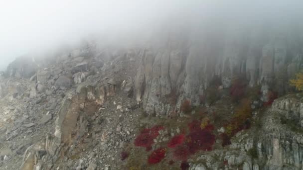 Primo piano di montagna rocciosa in nuvole coperto piccoli alberi con foglie verdi, gialle e rosse. Gli hanno sparato. Paesaggio montano colorato — Video Stock