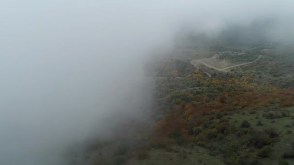 Letecký pohled na podzimní les za mraky. Střela. Krásná podzimní krajina — Stock video