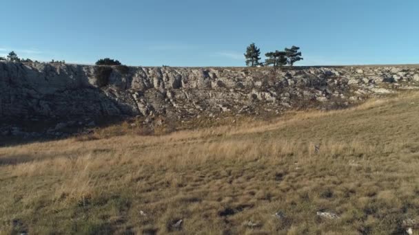 Vista maravilhosa no vale coberto por árvores coníferas perto de pequenos acampamentos e edifícios brancos redondos bizarros em uma colina no fundo. Atingido. Vista de cima — Vídeo de Stock