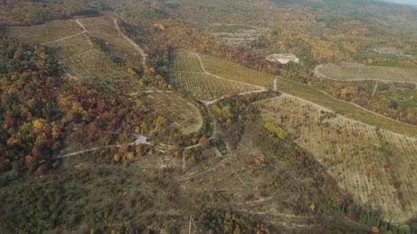 Luchtfoto uitzicht op prachtige oranje en rode herfst vallei en bos met landweg en auto die is parkeren in de buurt van de bomen. Schot. Van bovenaf bekijken — Stockvideo