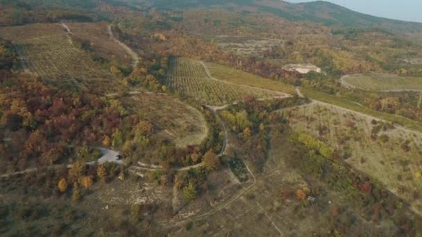 Letecký pohled na krásné oranžové a červené podzimní údolí a les s venkovské silnici a auto které je parkování poblíž stromů. Střela. Pohled shora — Stock video