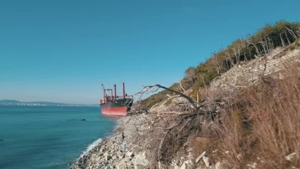 Vista no grande navio de carga vermelho no mar azul perto da costa com as pessoas. Atingido. paisagens marinhas — Vídeo de Stock