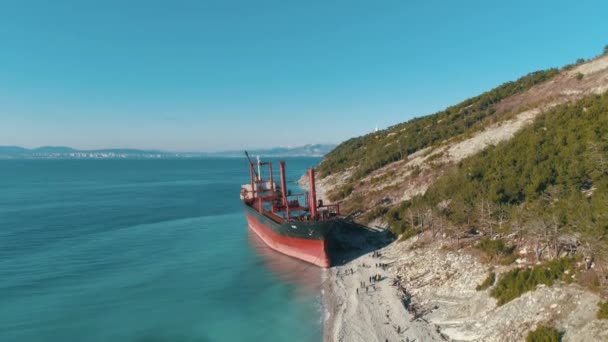 Flygfoto på stora röda cargo fartyget i blå havsvatten nära kusten täcks av träd. Skott. Marina landskap — Stockvideo