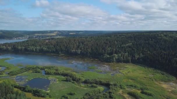 Flygfoto över floden täcks av gräs och Starr mot blå molnig himmel. Klipp. Vackert landskap — Stockvideo