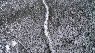 Havadan görünümü yol kışın kar çam ormanı. Vurdu. Taze karla kaplı yoğun Orman ağaçları ile ıssız yol boyunca üzerinde uçan hava görünümünü derin kış kırsal ülke manzarası