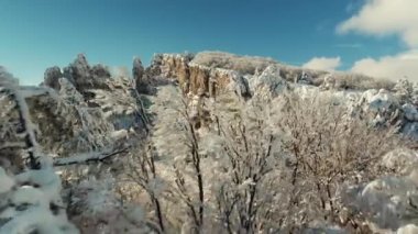 Güzel kar manzara. Kış ağaçlar panorama. Vurdu. Yüksek Ladin ve dağlarda kar kış manzara. Ağaçlar güzel kış manzarası kar ile kaplı