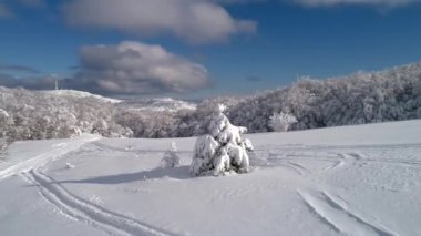 Güzel kar manzara. Kış ağaçlar panorama. Vurdu. Yüksek Ladin ve dağlarda kar kış manzara. Ağaçlar güzel kış manzarası kar ile kaplı
