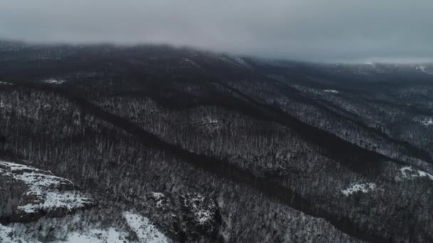 Árboles cubiertos de nieve aérea Drone Filmación Paisaje Invierno Naturaleza. Le dispararon. Rama de árboles nevados en una vista del bosque de invierno. Paisaje invernal, bosque, árboles cubiertos de heladas, nieve — Vídeos de Stock