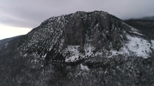얼어붙은 겨울 협곡을 통해 비행 하는 항공 샷. 총. 공중 비행 주위 산 피크 소나무 숲 — 비디오
