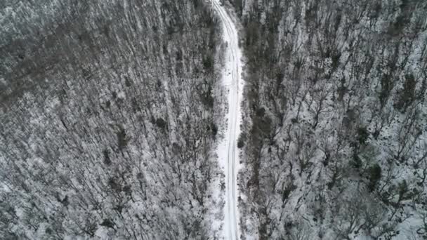 Вид з повітря на дорогу через сніговий сосновий ліс взимку. Постріл. Вид з повітря глибокий зимовий сільський сільський пейзаж, що летить вздовж покинутої дороги через густі лісові дерева, вкриті свіжим снігом — стокове відео