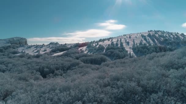 Luftaufnahme vom Gipfel der Berge mit Bäumen und Wald. Schuss. Schöne Aussicht auf die Natur bei Sonnenuntergang — Stockvideo