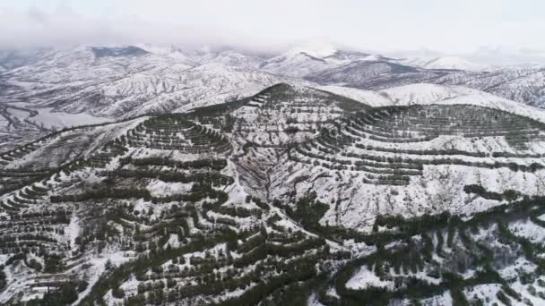 Vista aerea del villaggio nelle montagne invernali, alba nelle montagne invernali. Gli hanno sparato. Montagne con boschi sono coperti di neve in inverno — Video Stock