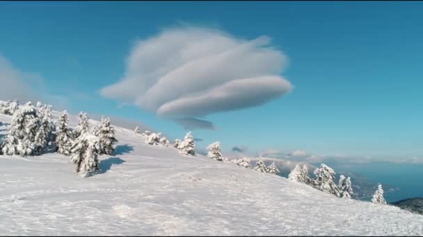 공중 비행 맑은 눈 덮여 산 정상 눈에 버그 린 숲. 총. 눈 덮힌 산에 그림자를 주조 하는 나무의 항공 보기 — 비디오
